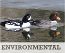Environmental
